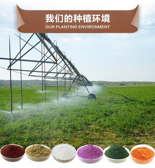 厂家直供 水杨苷98% 水杨甙 白柳皮提取物 陕西四海现货包邮